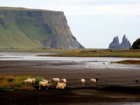 Dyrhólaey