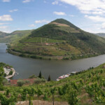 Pinhão