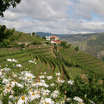 Sao Antonio
