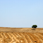 ... im Alentejo ...